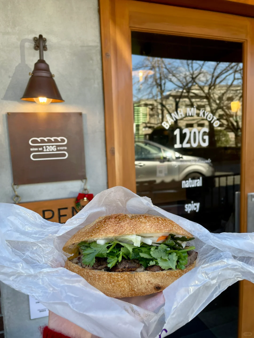 The Unforgettable Vietnamese Bánh Mì Sandwich 🐑🥪🥖