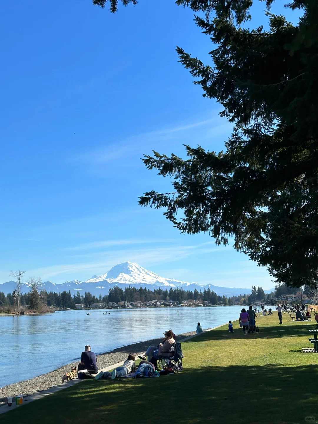 20°C Seattle, I'm Totally Hooked 🥹
