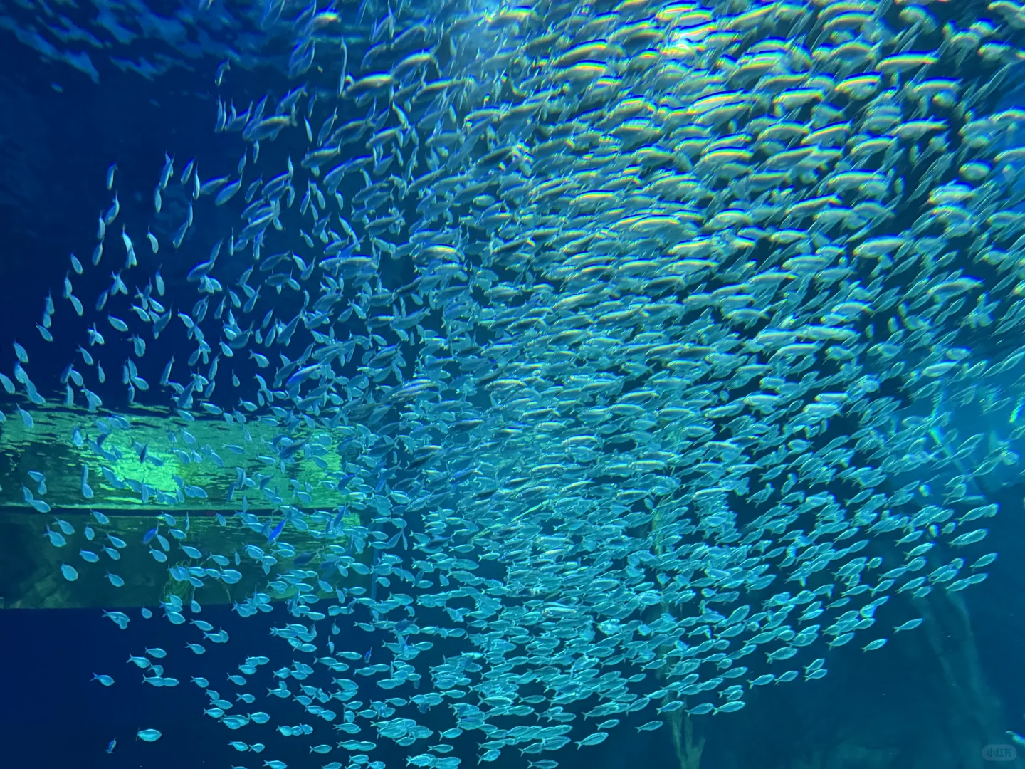 No Detours + Super Practical ⚠️ 2-Day Atlanta Travel Guide