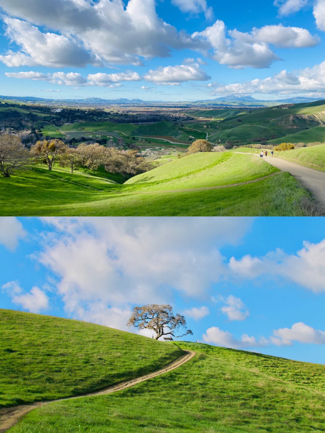 Winter is the Most Picturesque! Hidden Gem Green Lake Trail Near the Bay Area