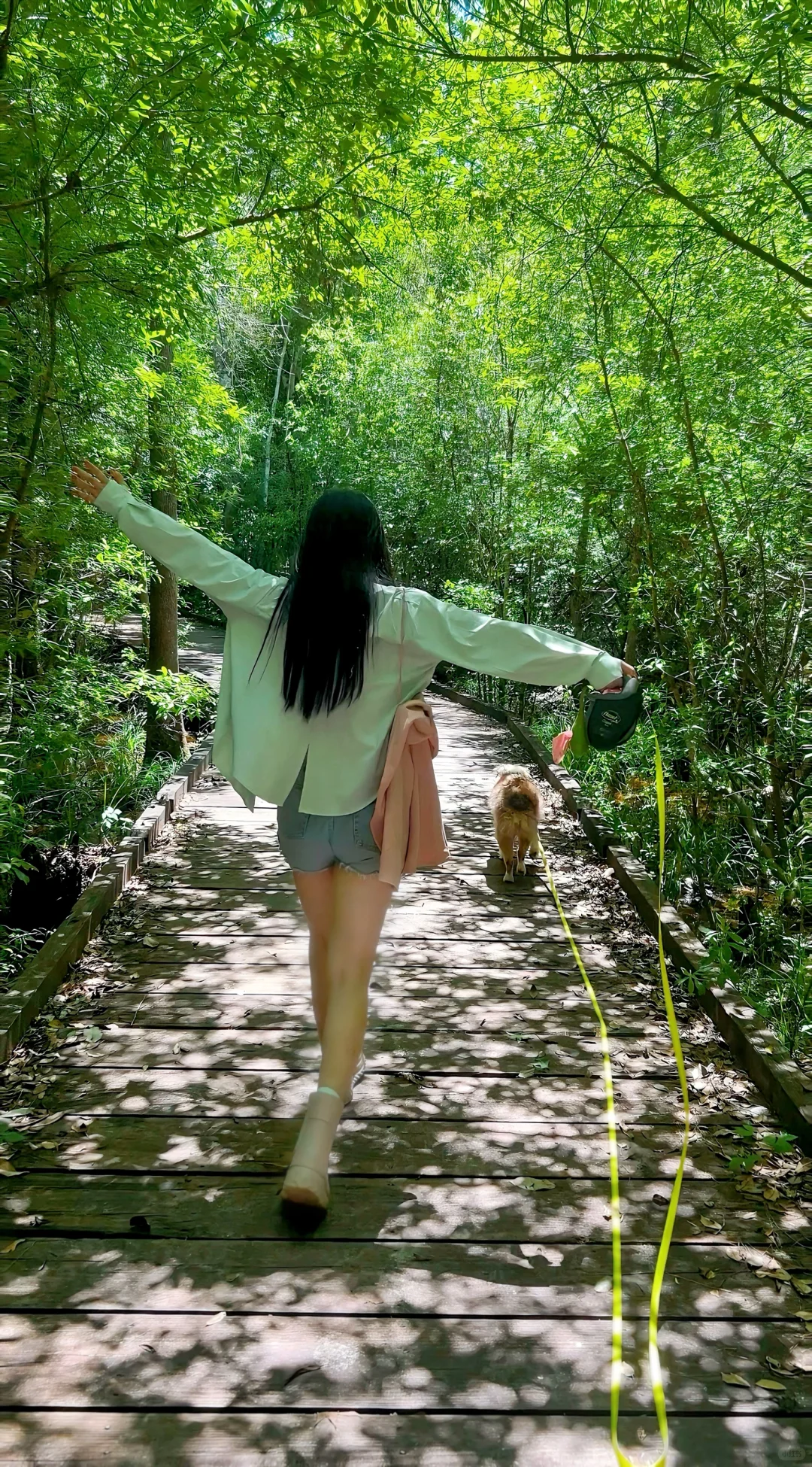 A Super Happy Forest Stream Day Trip with My Pup 🐶 Plus Tips to Avoid Tourist Traps