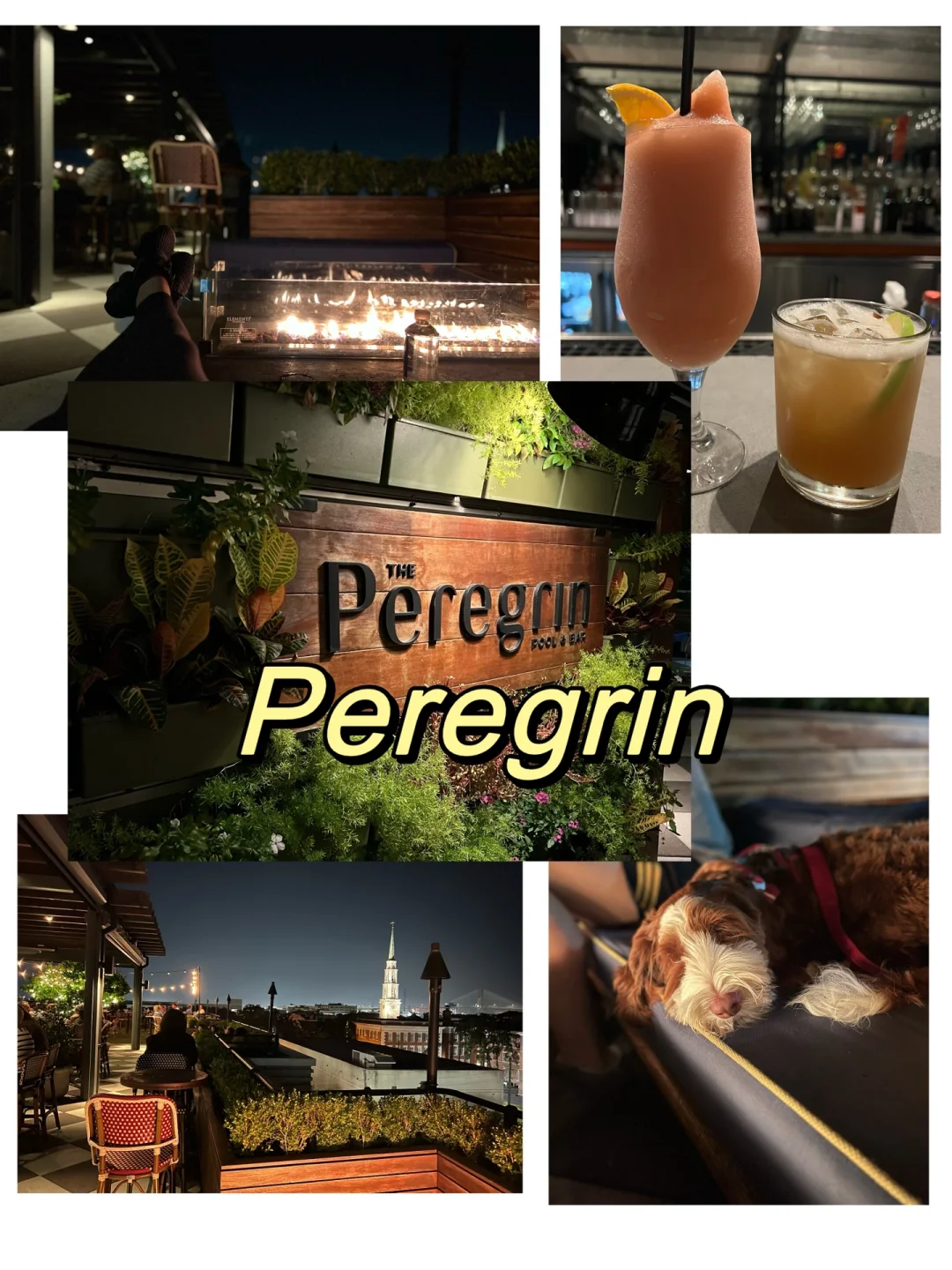 Savannah Food and Drink Guide (Part 6): Pet-Friendly Edition