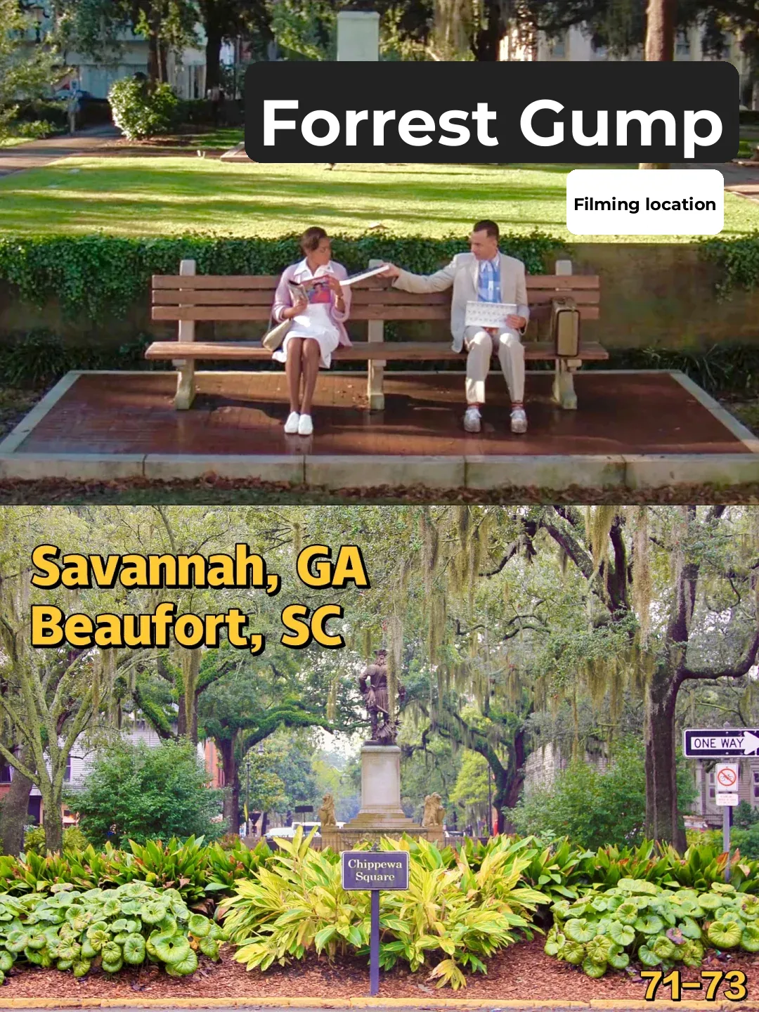 Savannah & Beaufort｜Life is Like a Box of Chocolates