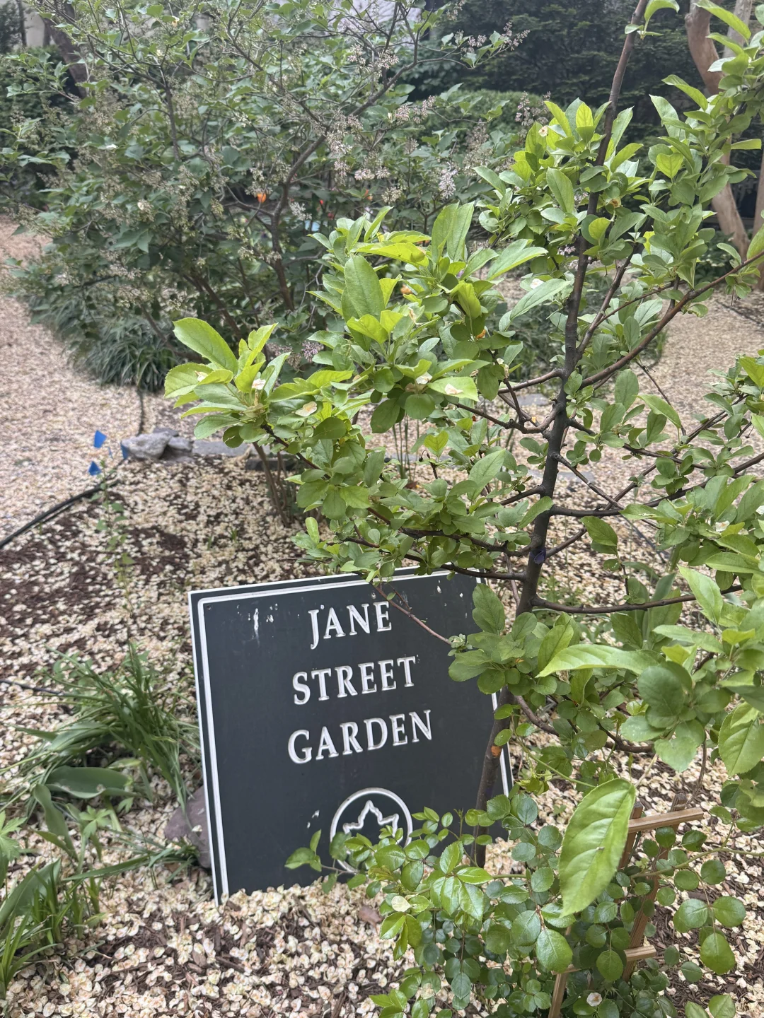 Hidden Gem Gardens in Lower Manhattan