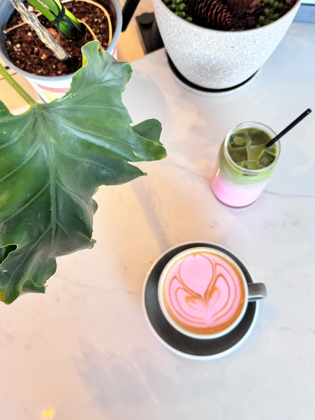 The Pinkest Valentine's Latte 🩷