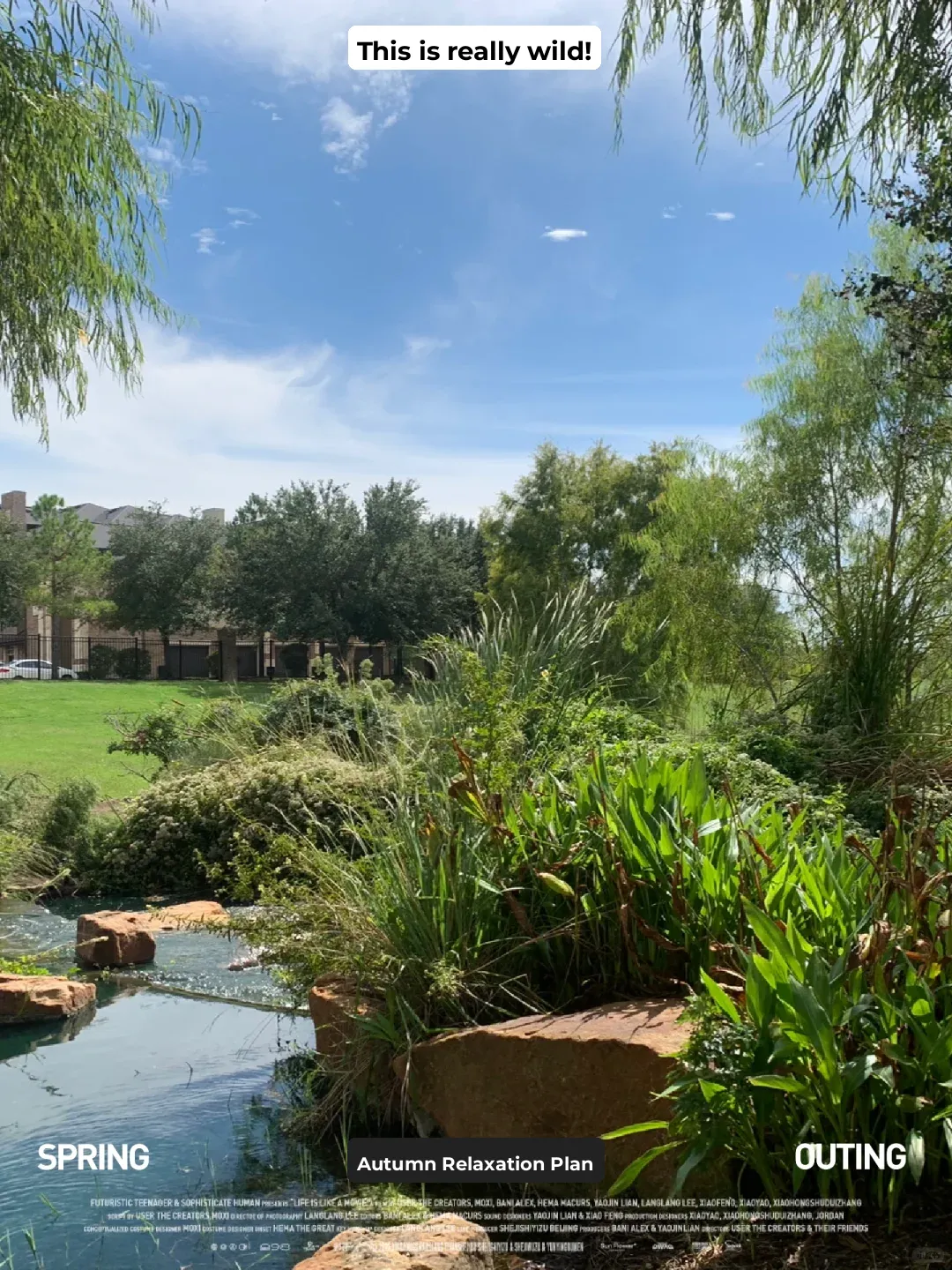 Best Spots for a Weekend Family Outing in Houston