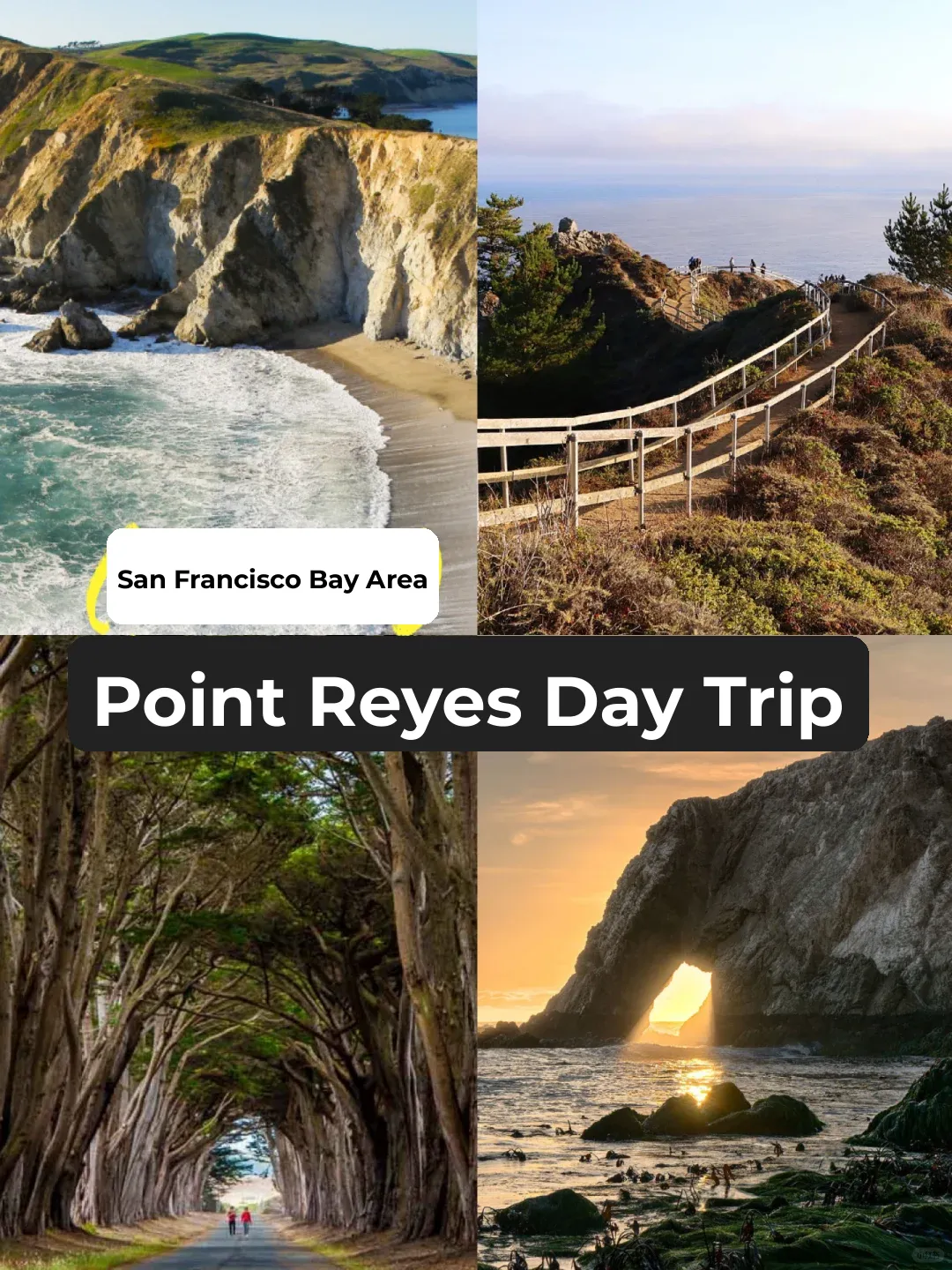 Day Trip Near San Francisco: Your Beach Getaway 🌊