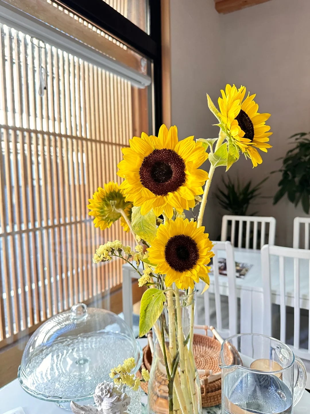 May You and I Be as Vibrant as This Sunflower 🌻