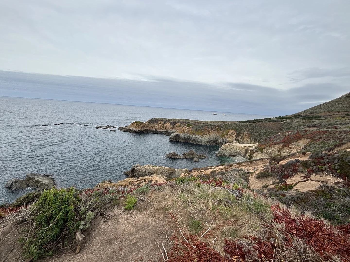 California's Highway 1 Coastline | Vast Warm Sunshine and Blooming Flowers 🌼🌷🌹💐