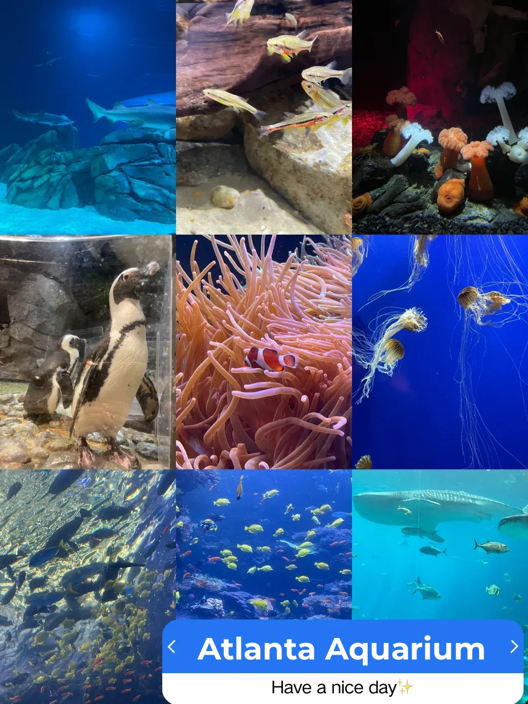 Spring Break Getaway: A 4-Day, 3-Night Travel Guide to Atlanta 🍑