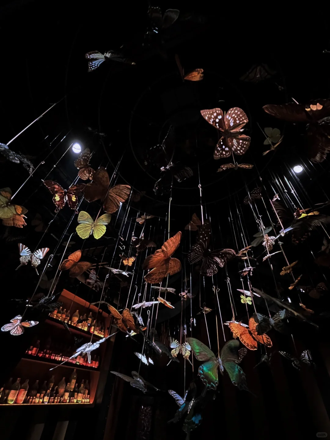 🇯🇵 Tokyo | Elven Bar ~ Go for it!!