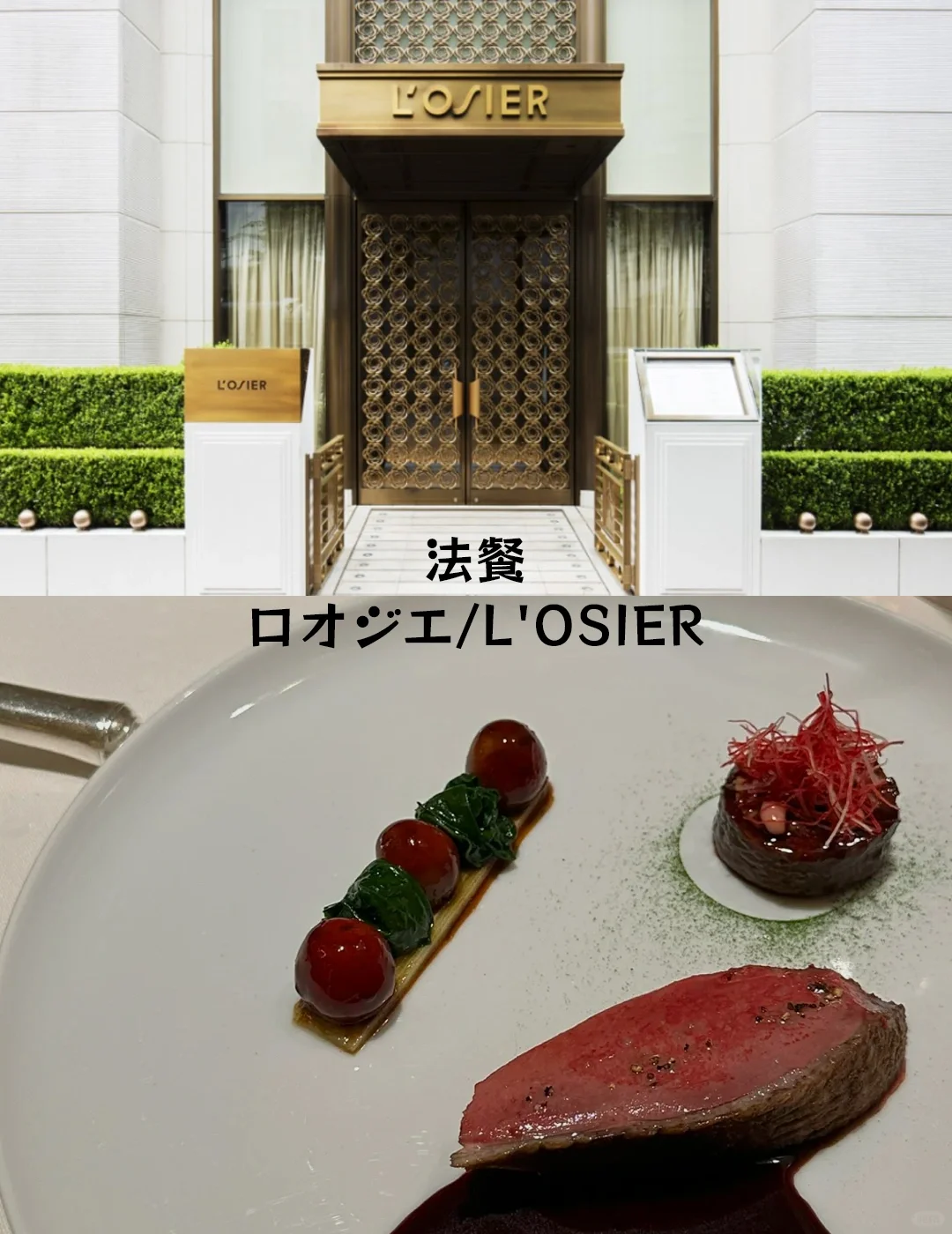 2024 Tokyo Michelin 🍣 Restaurant Guide (Three-Star Edition)