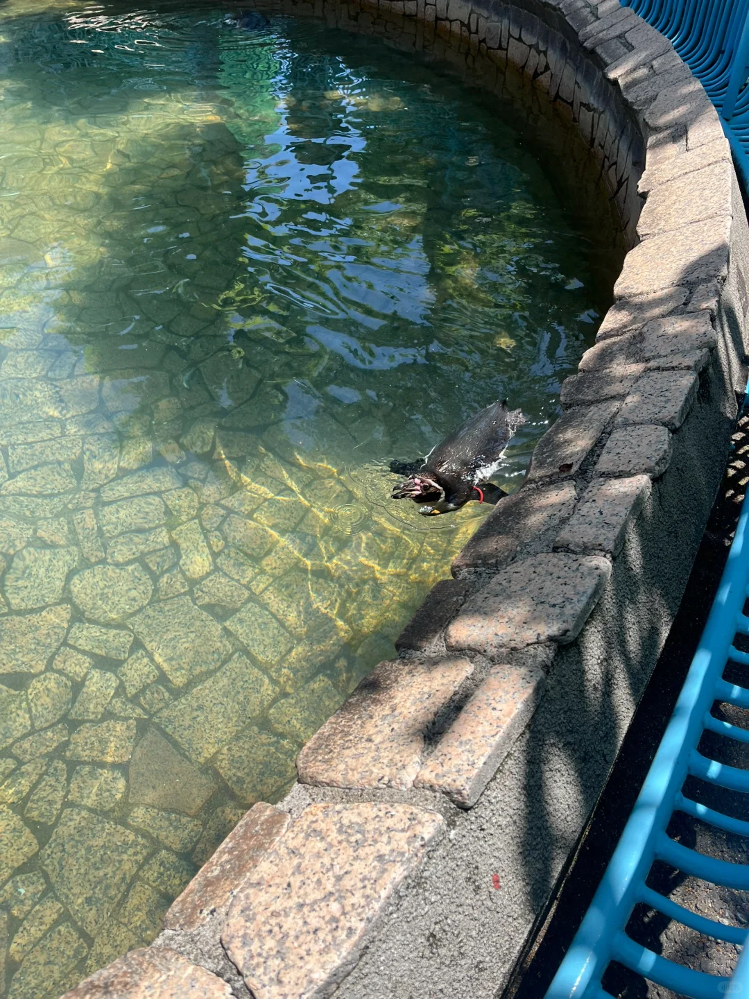 Tokyo Edogawa Ward Natural Zoo ~ Free Admission!!