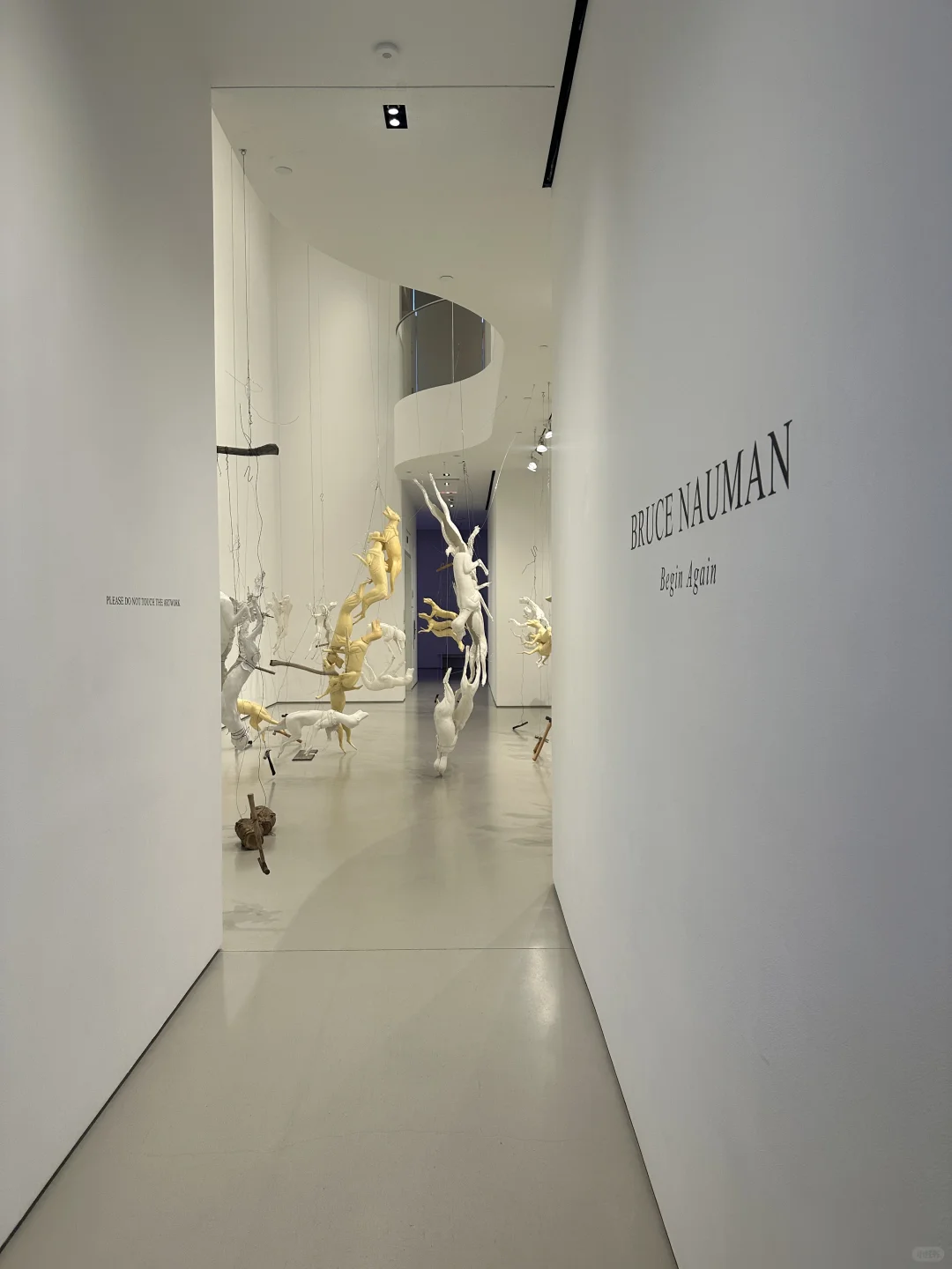 New York | Bruce Nauman's Exhibition: A Rare and Unmissable Experience