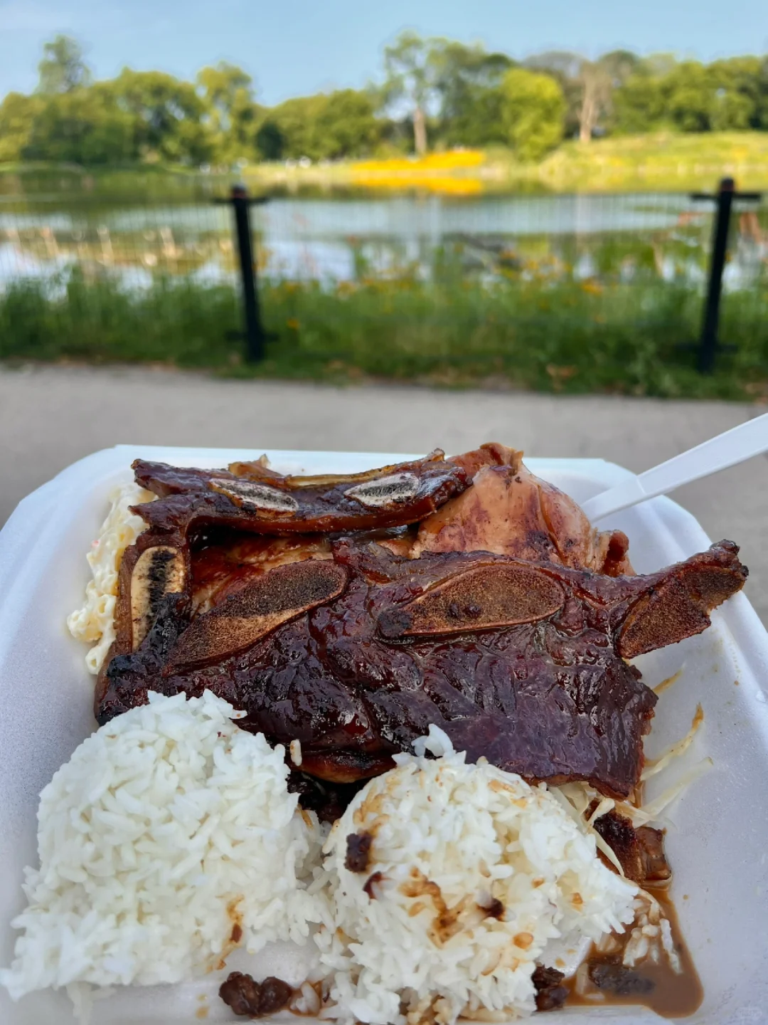 Authentic Hawaiian Plate Lunch in Chicago? Yes, It Exists! 🍍