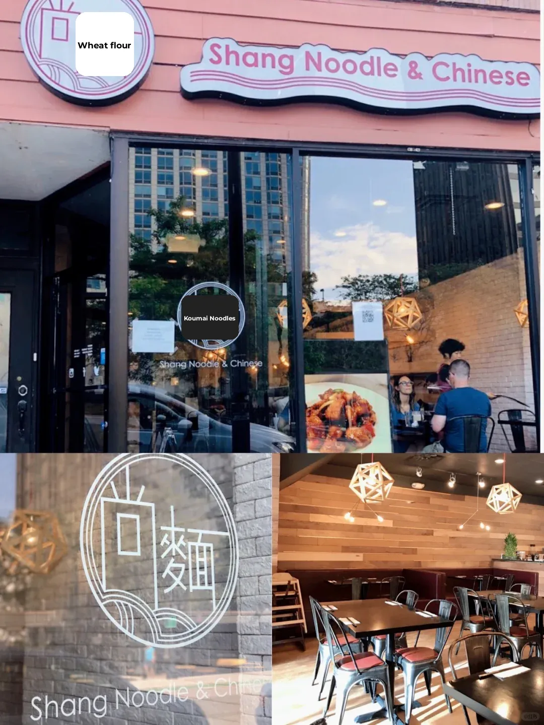 Chicago | Chinese Food Around Northwestern University That Will Make You Happily "Fat" 😋