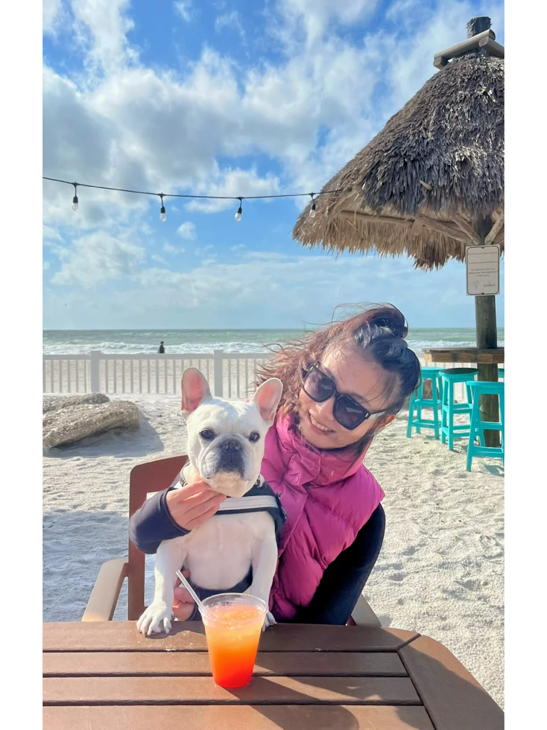 Four-Day Trip to Tampa with Two People and a Dog (Including Food and Accommodation Recommendations)