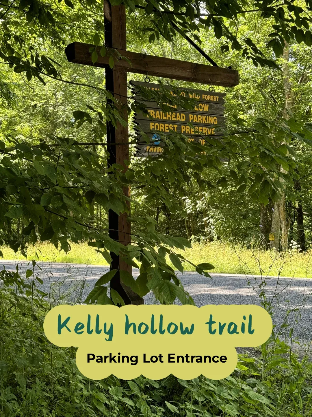 Another Family-Friendly Hiking Trail in Upstate New York