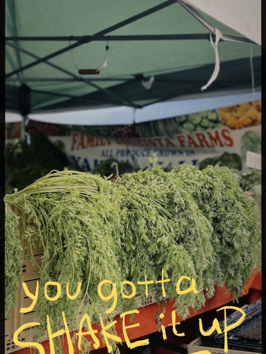 Summer Hotspot | Where to Go in East Seattle This Weekend 🌤️