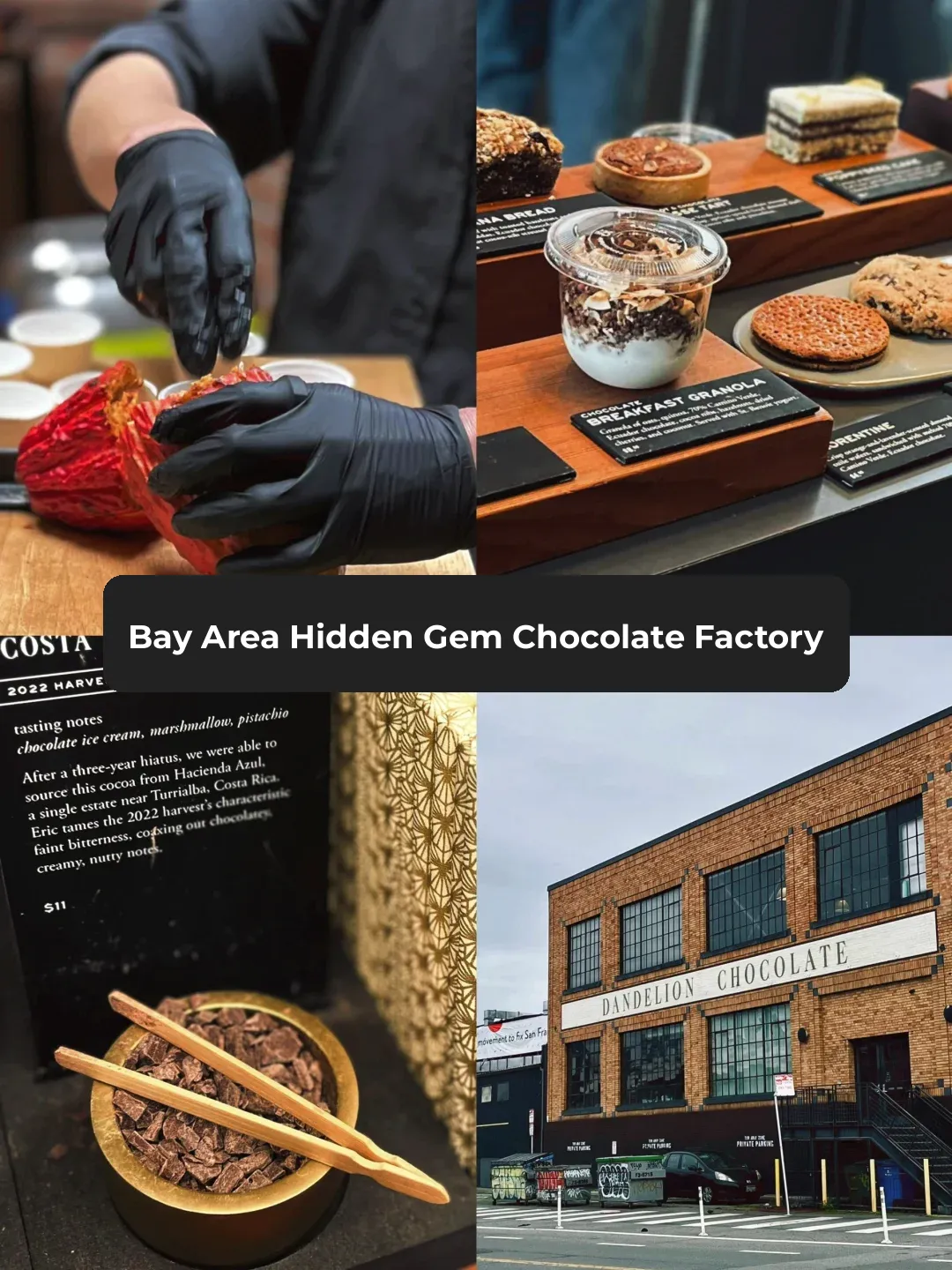 Bay Area | Hidden Gem Chocolate Factory in San Francisco