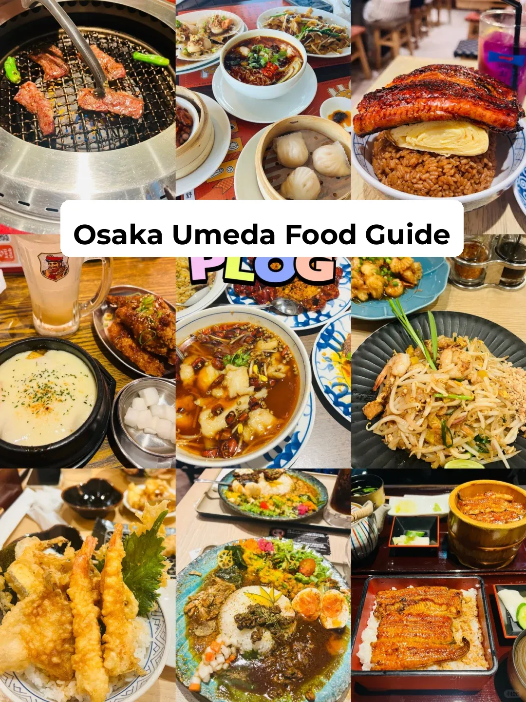 🇯🇵 Osaka Umeda Food Guide for Japanese Students 🥢