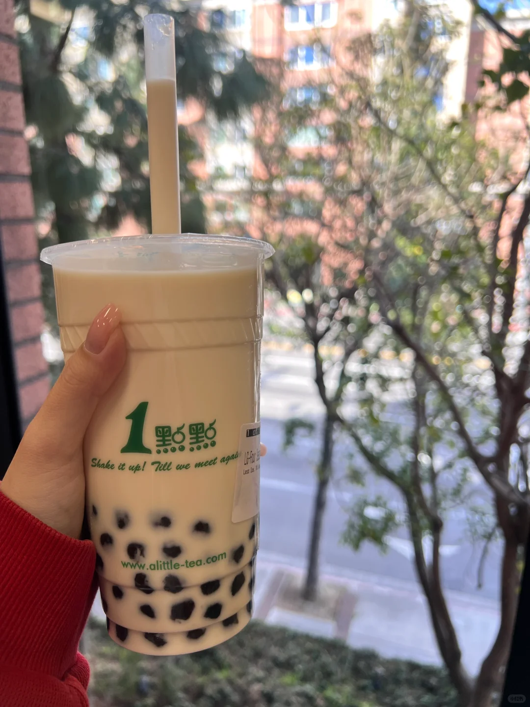 Bubble Tea Shop Review