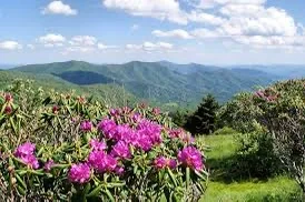 Recommended Summer Travel Routes Around North Carolina