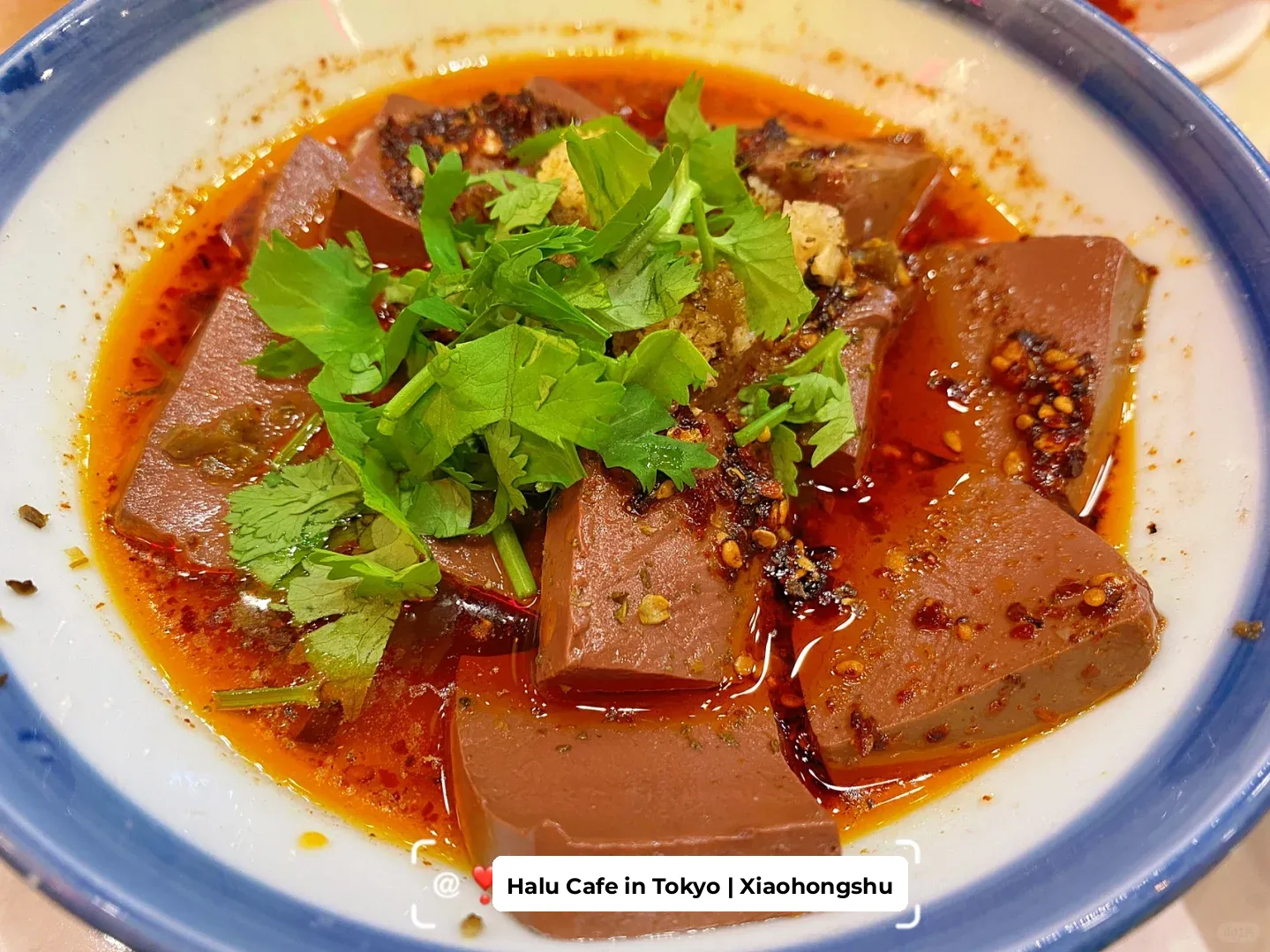 🌶️ Tokyo Food Hunt | I'm Raving About This "Leg-Stretching Beef" Place to Everyone! ‼️