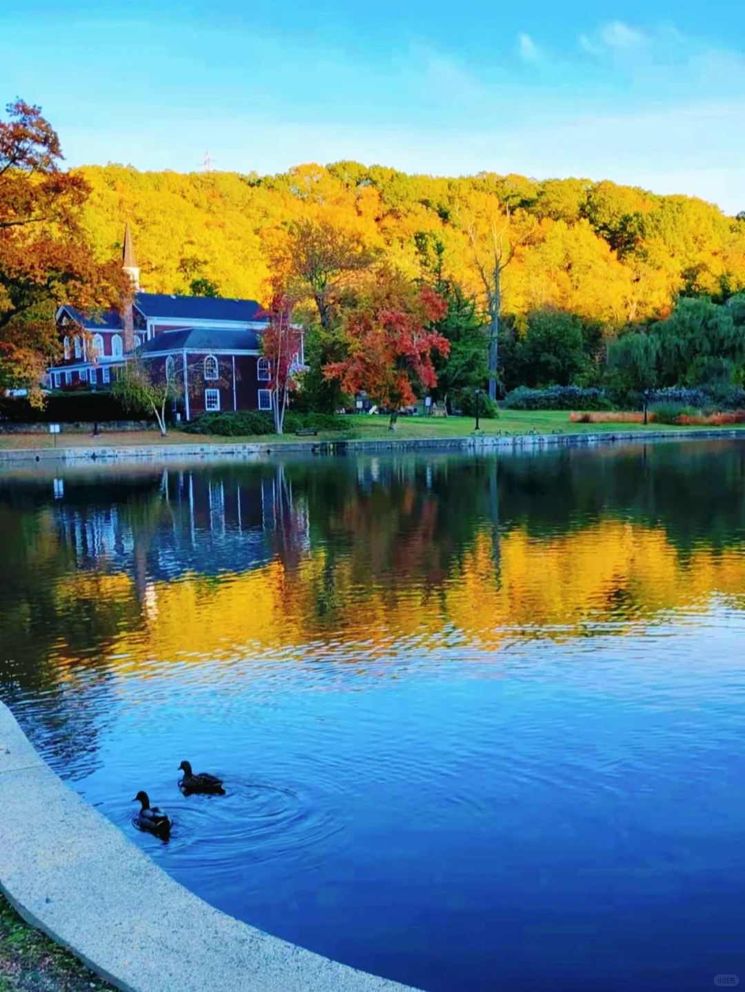 Autumn Bliss at NYC's Long Island Park + Scenic Dining = A Painterly Paradise