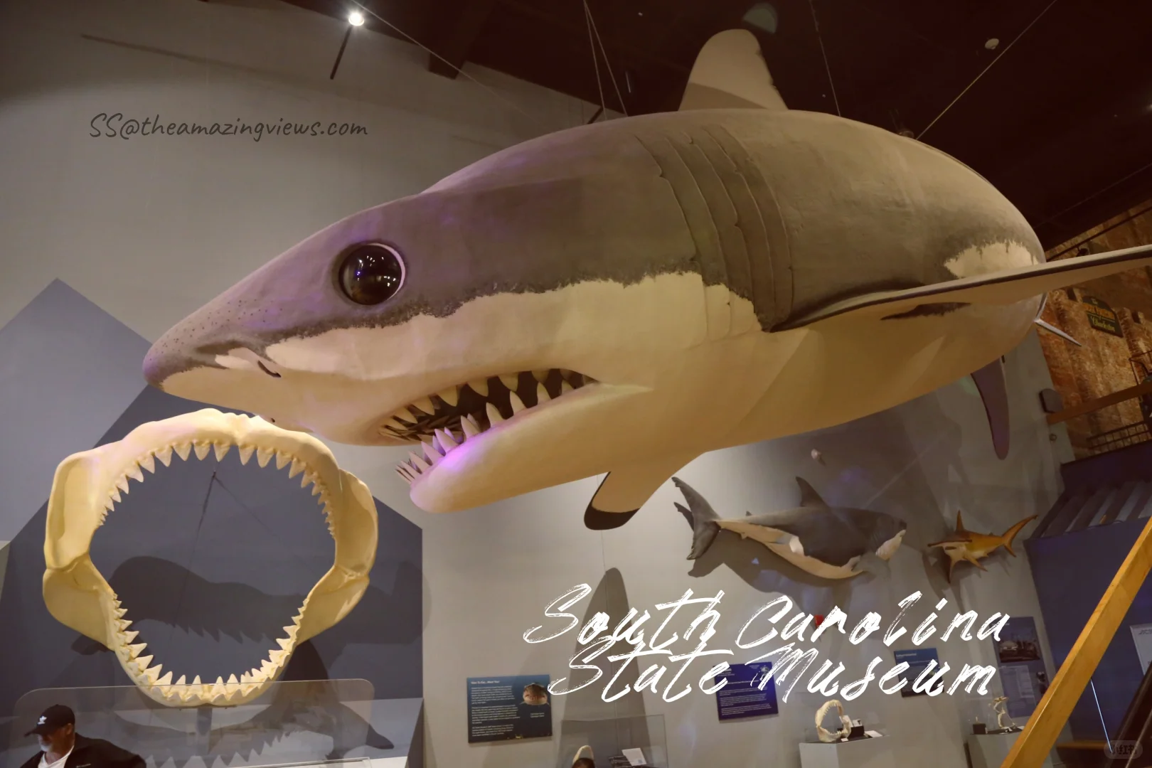 Some Tips for a Spring Break Trip to Charleston and Savannah