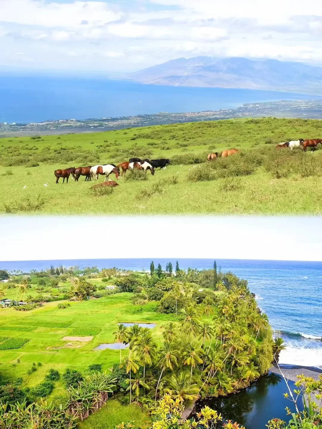 Hawaii's Maui | The Ultimate Island Getaway on Maui