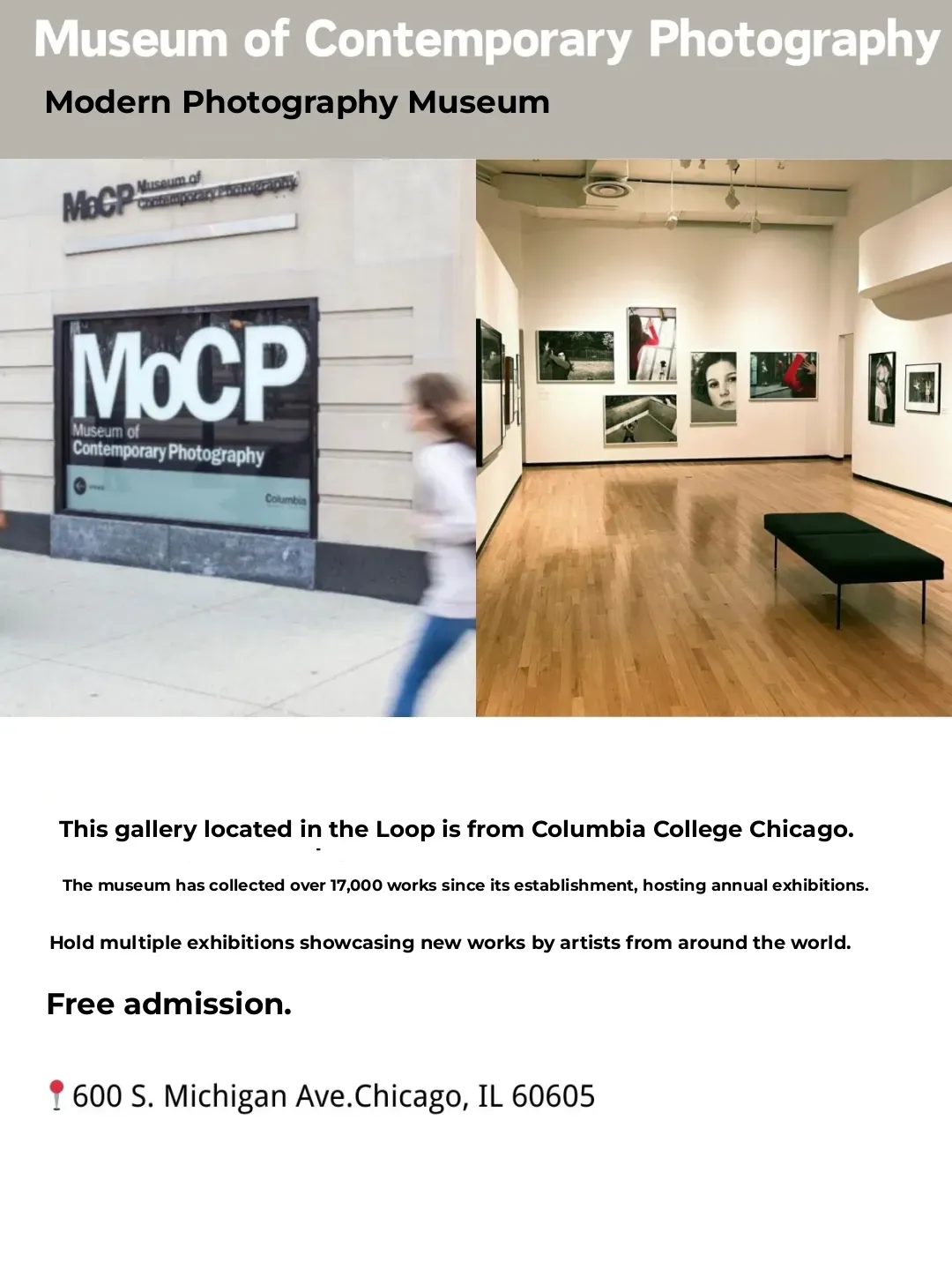 Endless Chicago Museums Tour - Part 2 | North America Travel Guide (7)