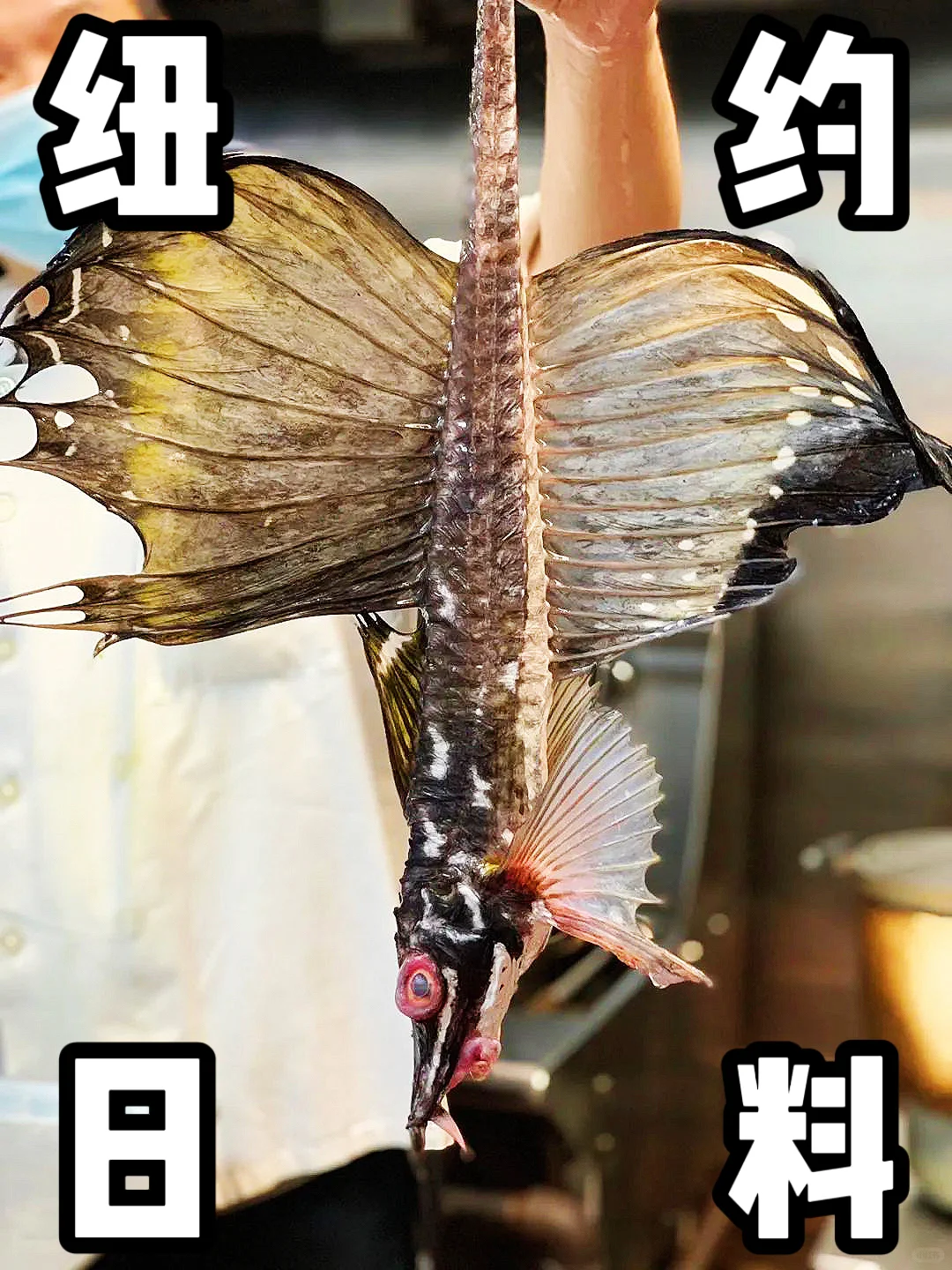 New York Restaurant 🐟 A Unique Japanese Dining Experience with Seafood Straight from Japan, Like a Fish Market