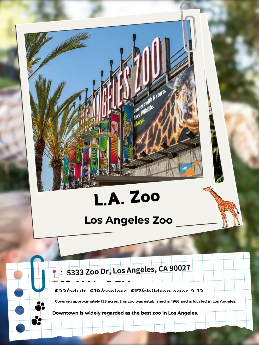 🦒 These 11 Zoos Are the Ultimate Kid-Friendly Spots Around LA