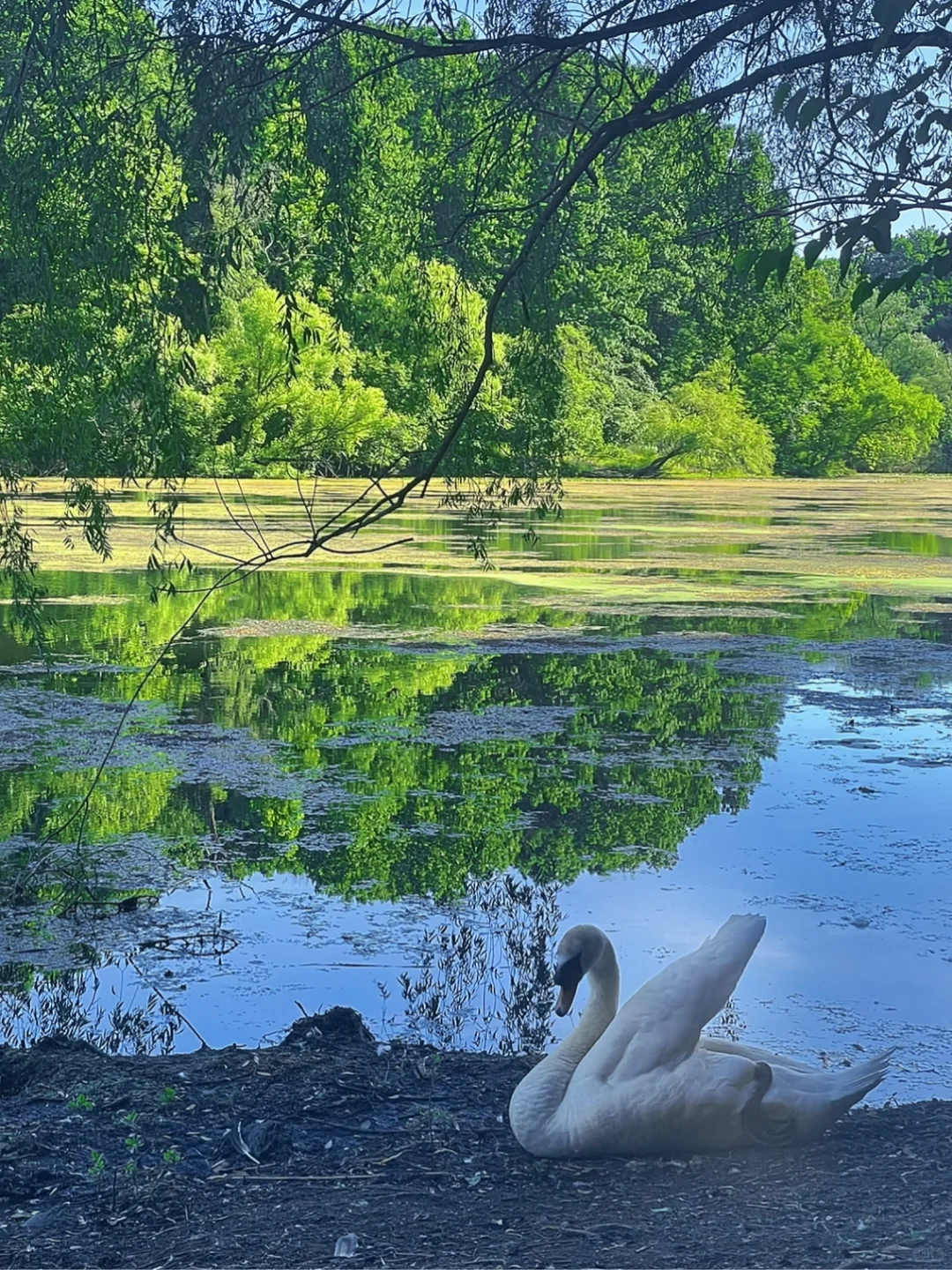 New York | The Real Hidden Gem 1️⃣