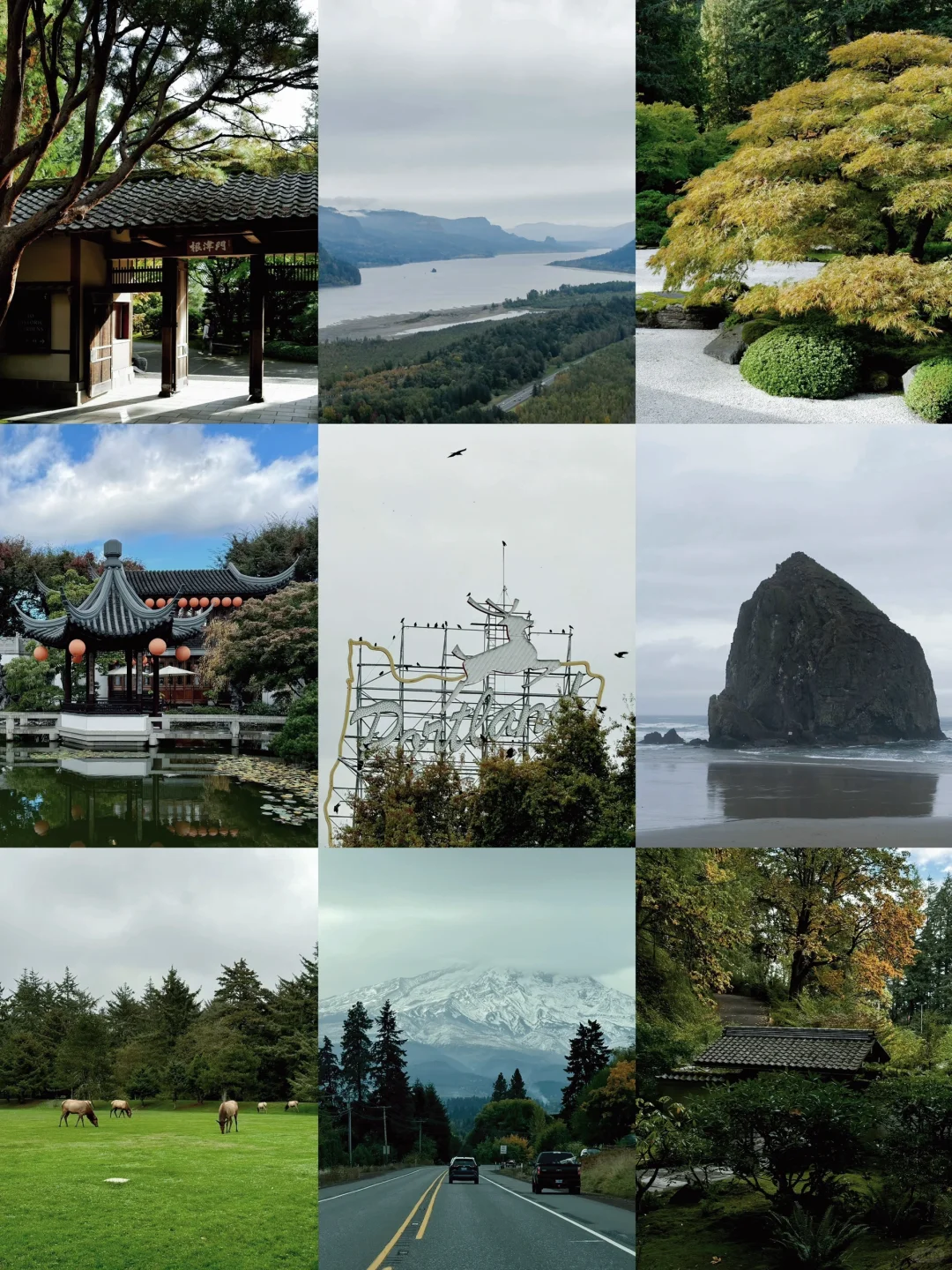 ✈️ Shouting from the Rooftops—I’m So in Love with Portland!