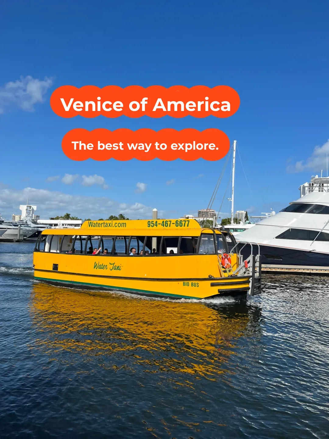 Guide to Taking the Water Taxi in Fort Lauderdale, Florida