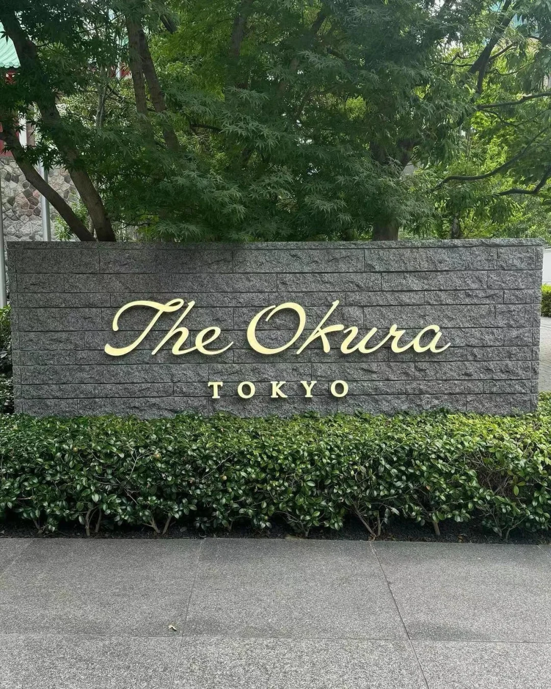 Third Time in Tokyo: My All-Time Favorite Hotel! Affordable and Super Comfy