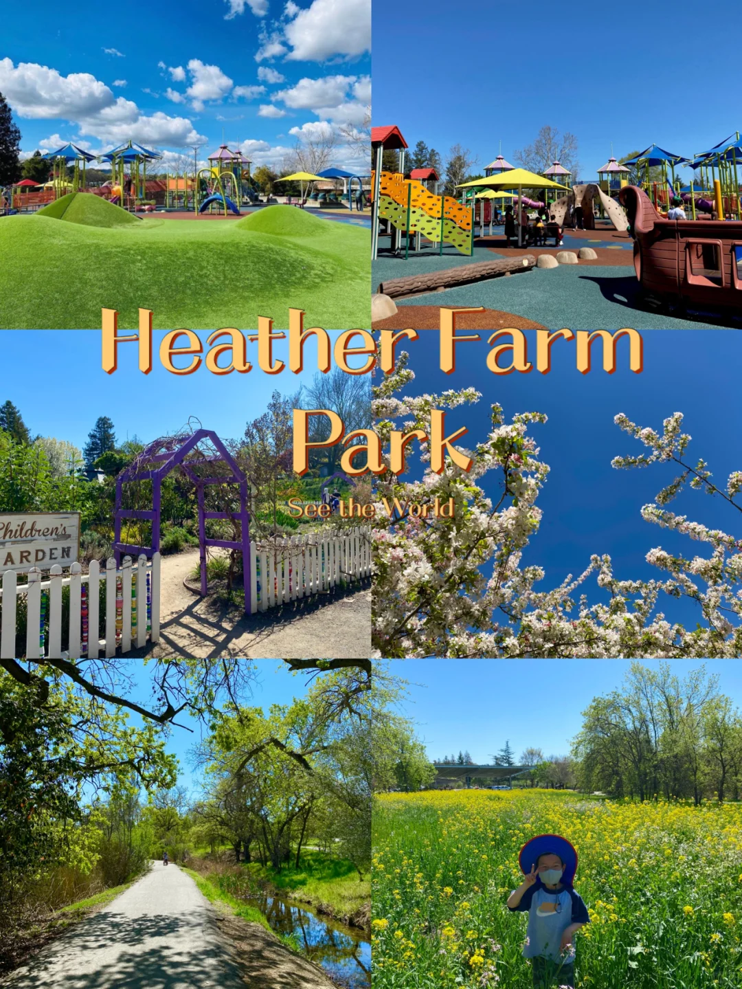 Walnut Creek's Most Versatile Park and Playground