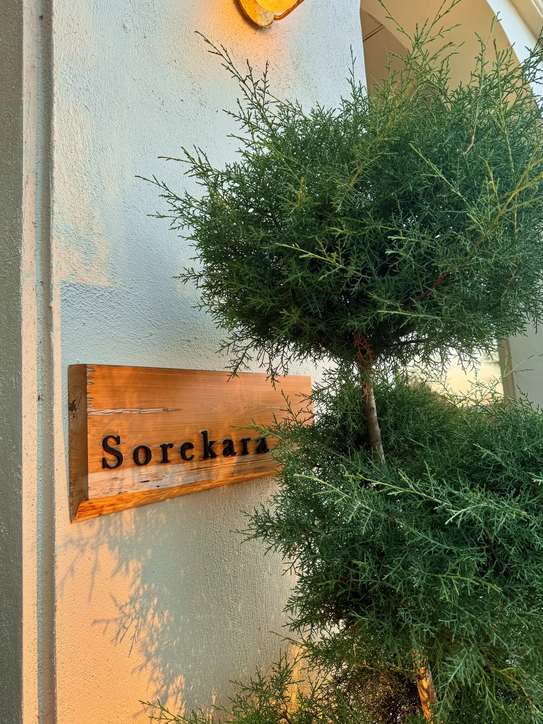 ORLANDO｜Sorekara Japanese Cuisine—Is This Really It⁉️⁉️