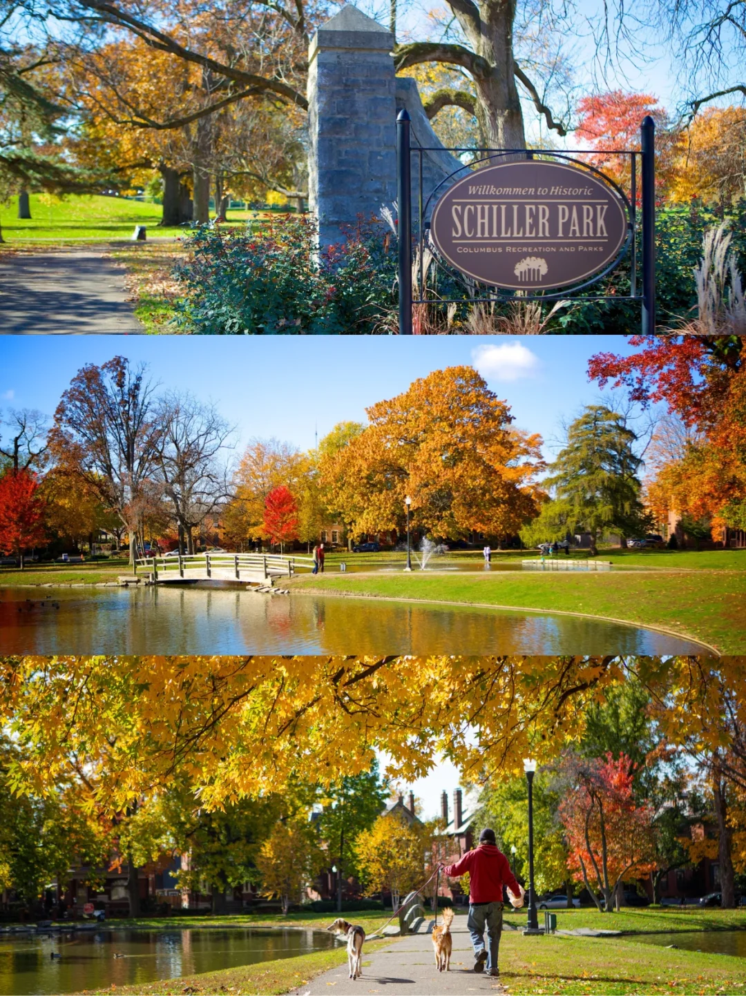 "Columbus Fall Foliage Guide: Photography, Camping, Hiking, and More…"