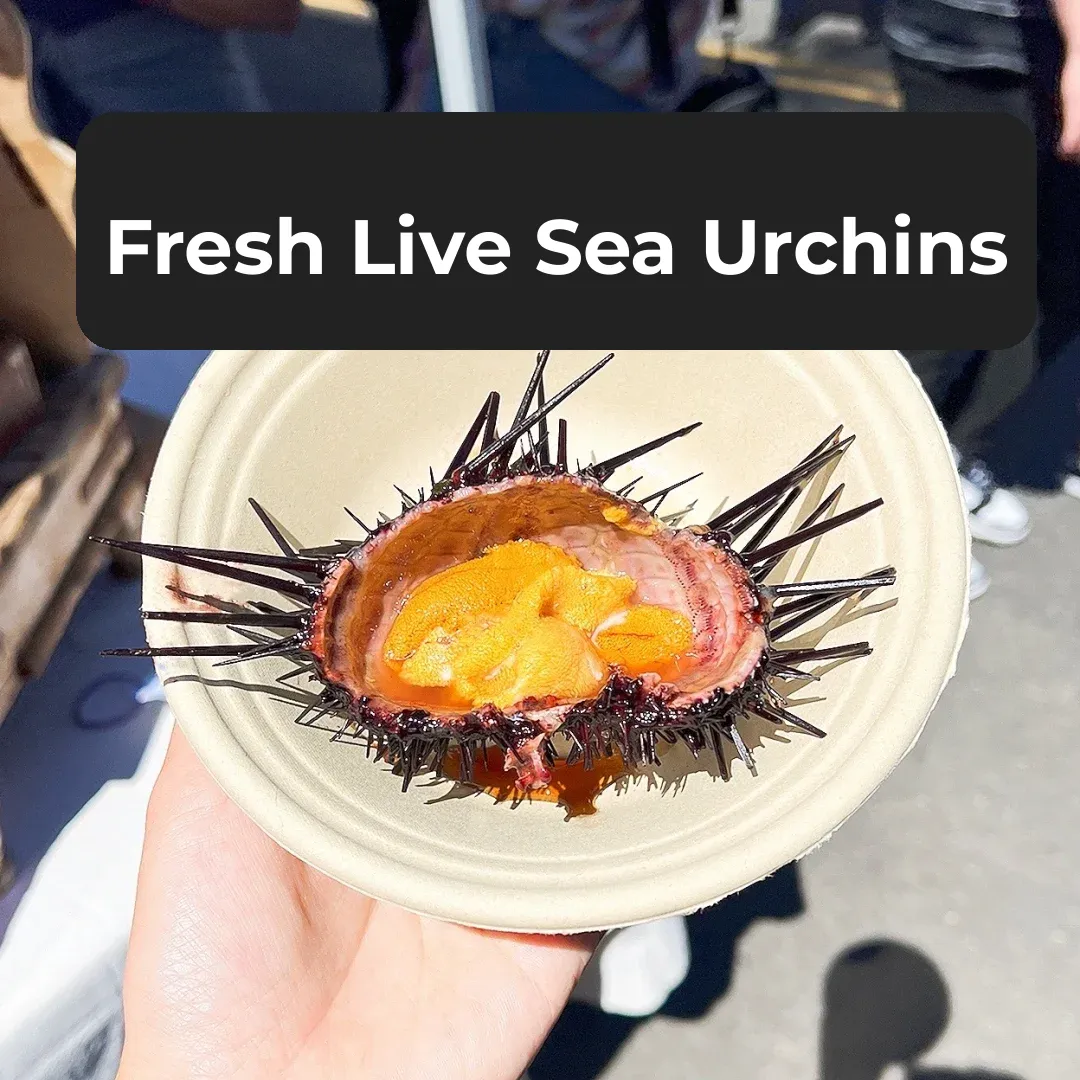 San Diego | Fresh Uni (Sea Urchin) + Oysters – Cracked Open & Served on the Spot!