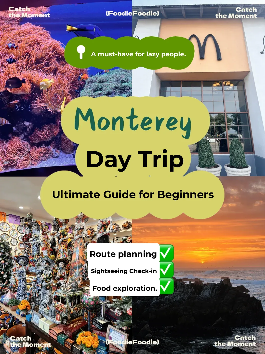 Bay Area｜Ultimate Guide! Monterey Day Trip Itinerary – Just Copy & Go!