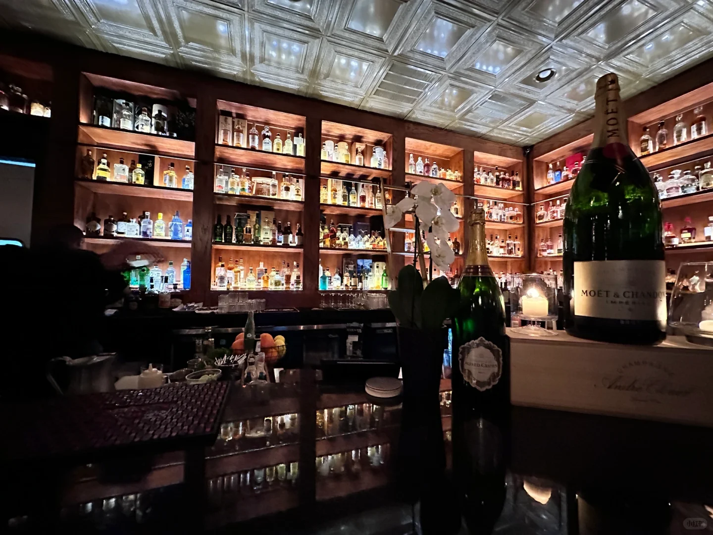 PERMISSION❕ I'd Come Back to Houston Just for This!