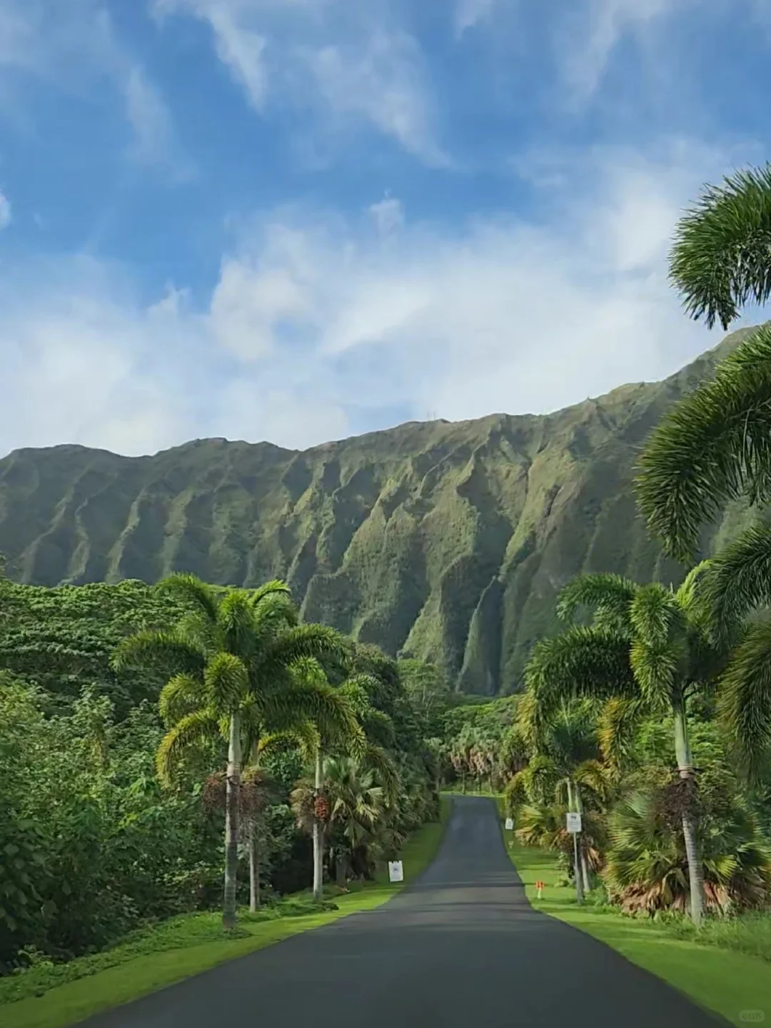 Hawaii Botanical Garden