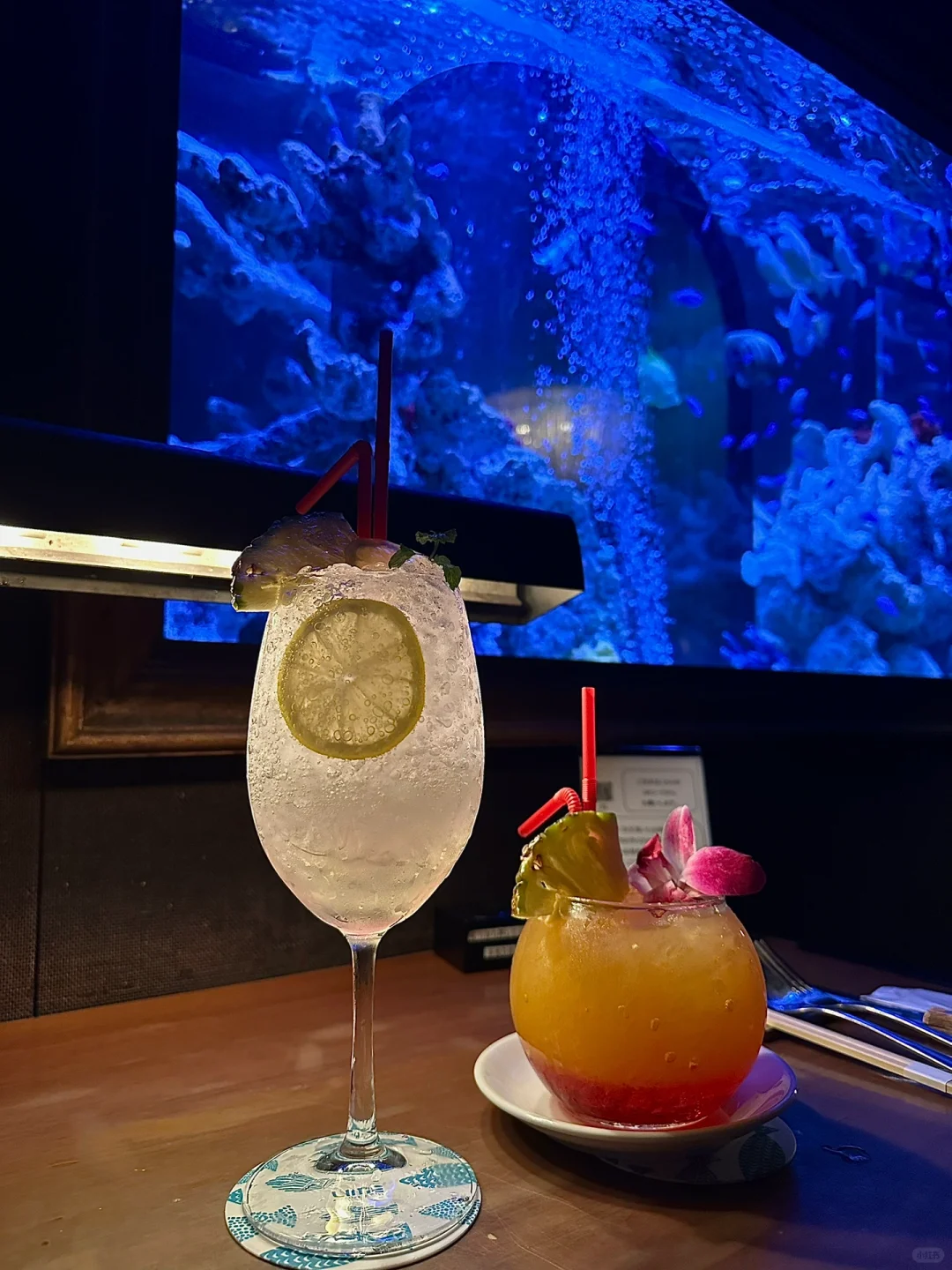 Osaka | Atmosphere-filled Restaurants Perfect for Birthdays and Anniversaries 🐠