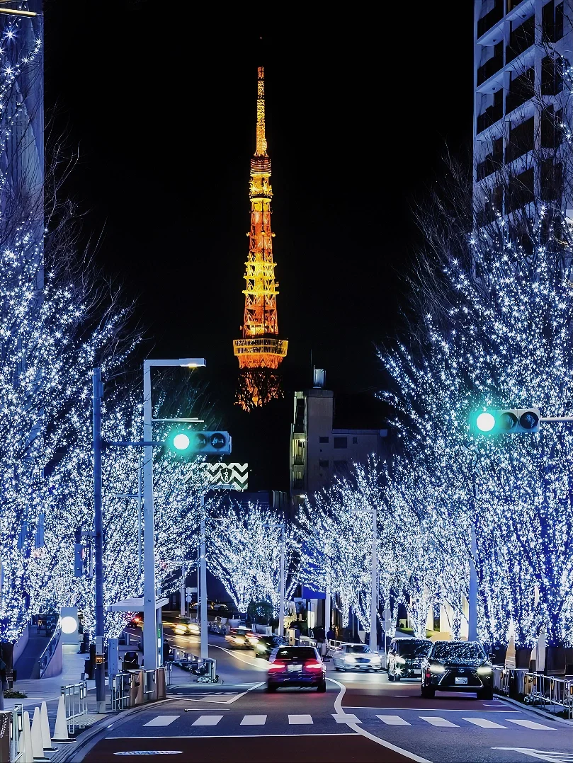 Roppongi Hills Christmas Lights ✨ The Ultimate Romantic Experience