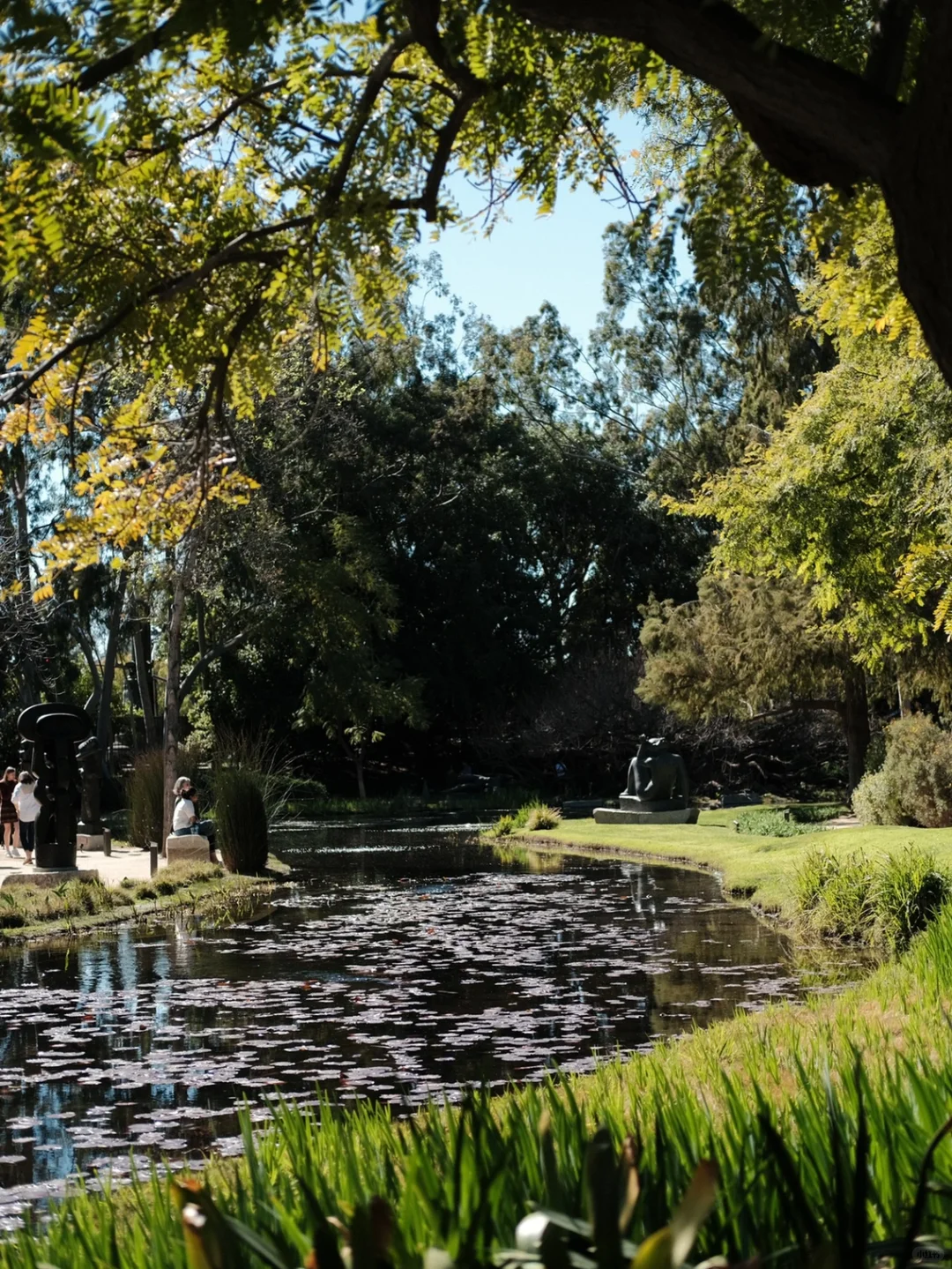 Los Angeles | Accidentally Stumbled into Monet's Garden 🌹