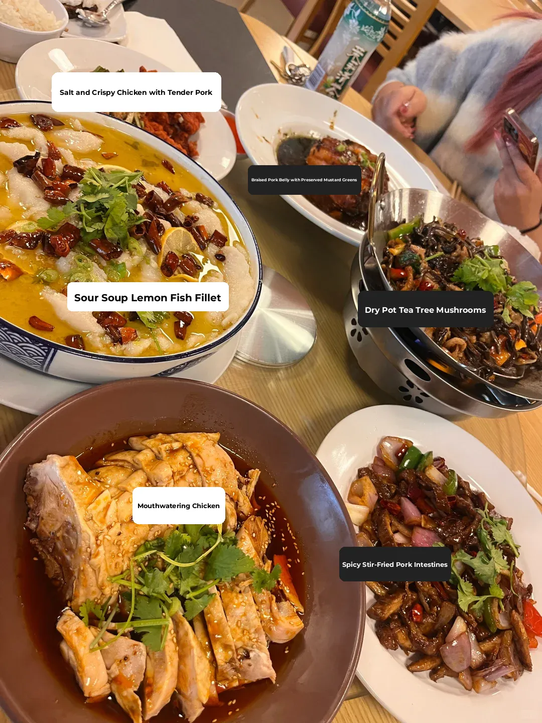 Every dish is delicious! OSU Columbus Sichuan Cuisine 🔥 Flaming Cloud