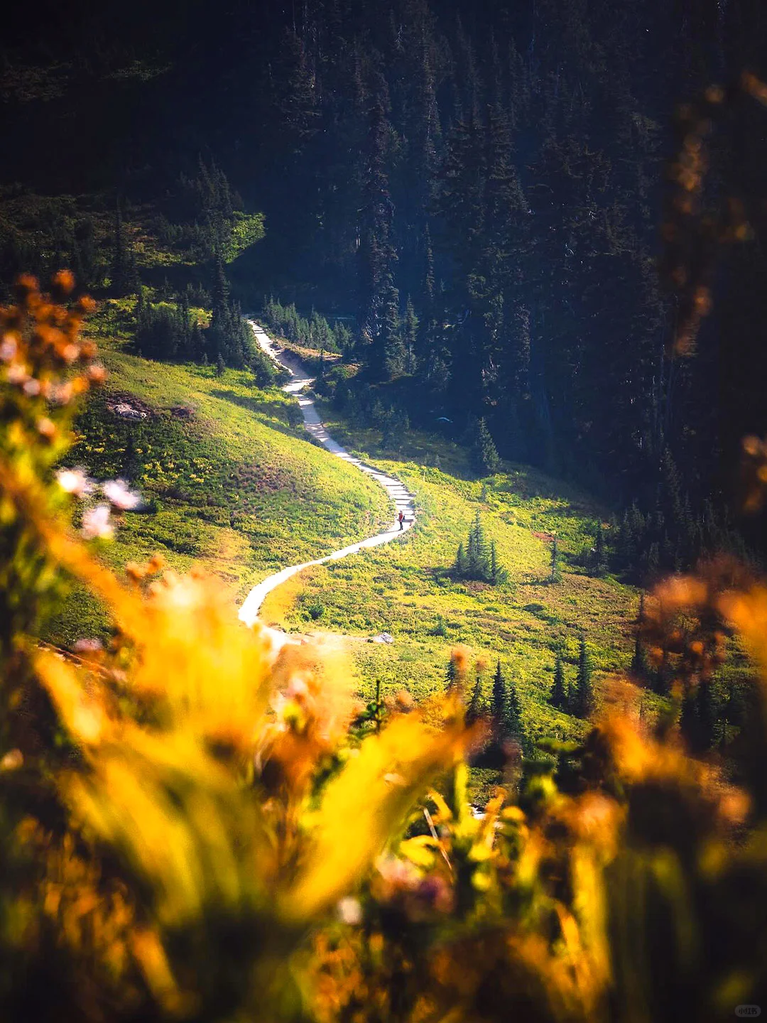 Seattle | These 5️⃣ Hiking Trails Are a Must for Your Weekend Bucket List